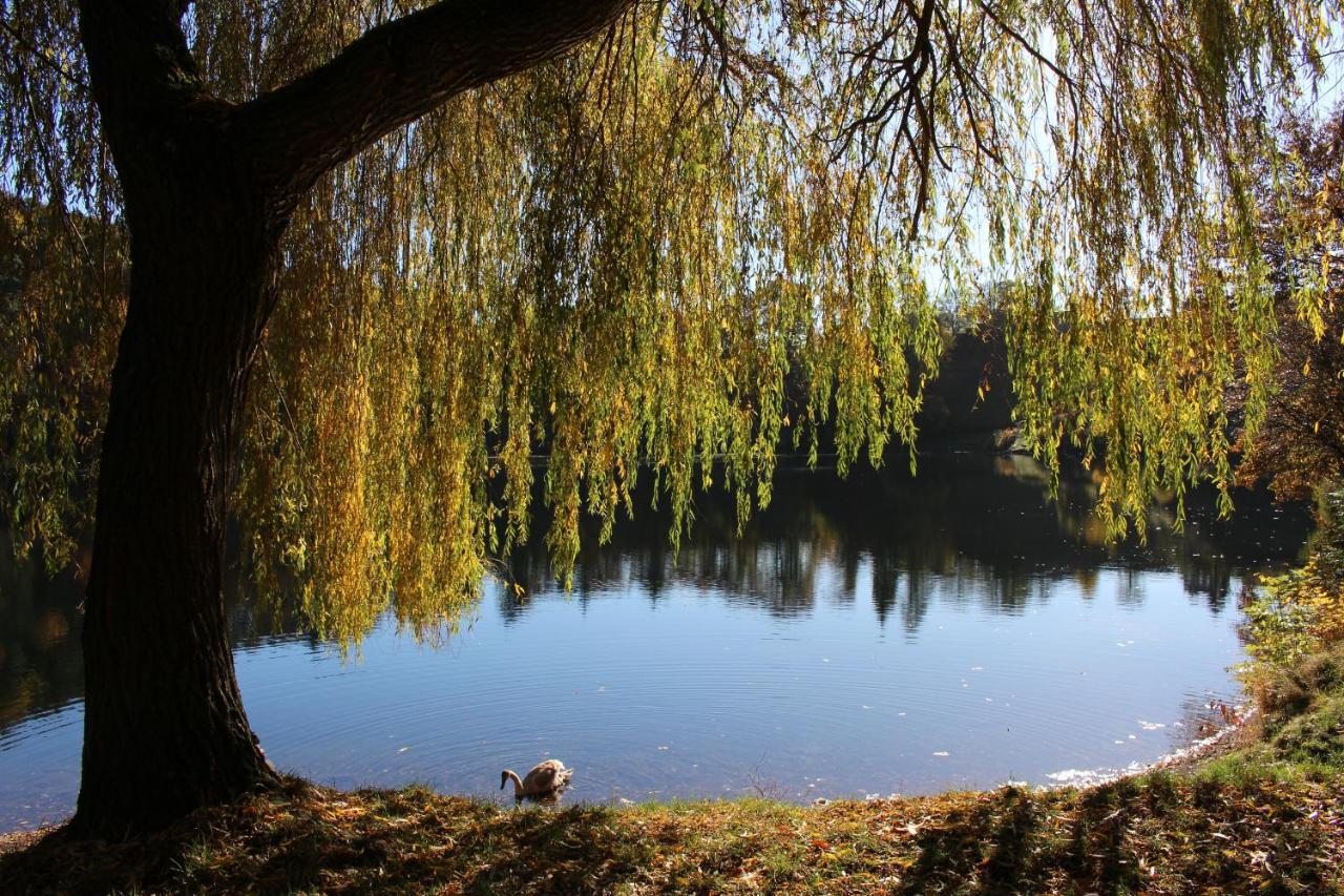 Ferienwohnungen Eifelstuben Mit Charme - Am See, Nahe Burg Ulmen Luaran gambar